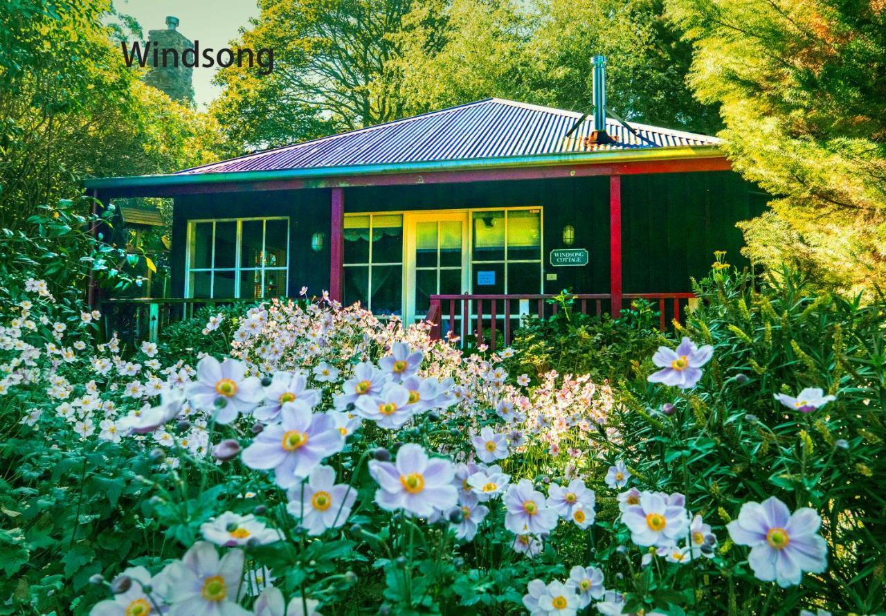 Observatory Cottages เมาท์ดันเดนอง ภายนอก รูปภาพ