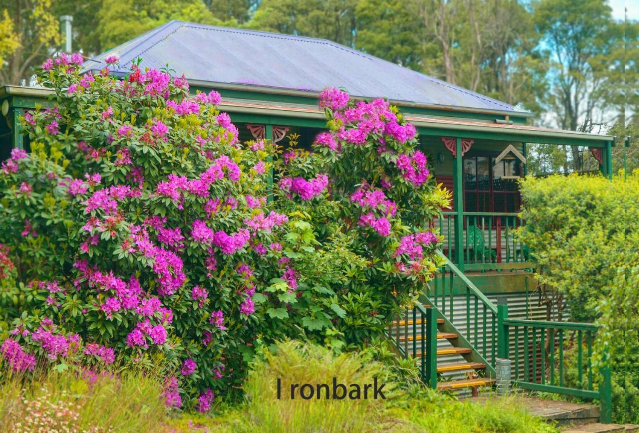Observatory Cottages เมาท์ดันเดนอง ภายนอก รูปภาพ