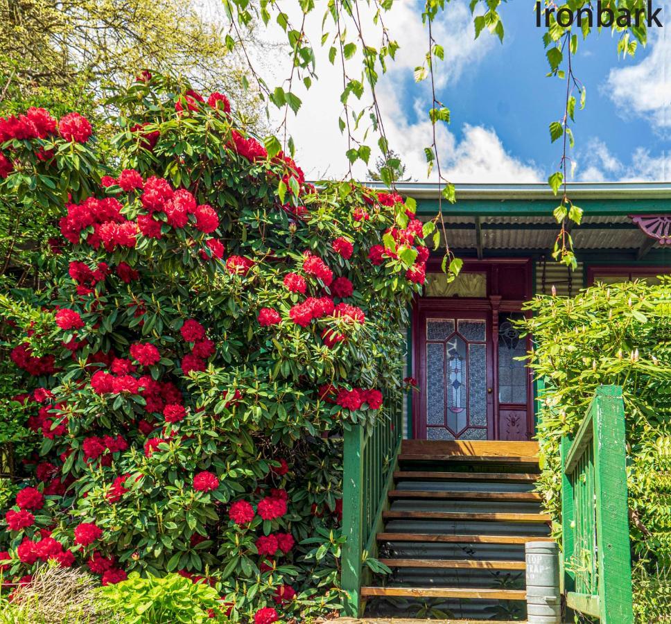 Observatory Cottages เมาท์ดันเดนอง ภายนอก รูปภาพ