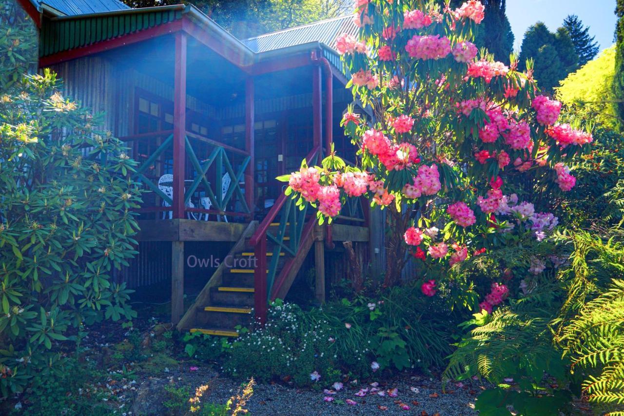 Observatory Cottages เมาท์ดันเดนอง ภายนอก รูปภาพ